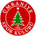 Ümraniyespor takım simgesi