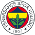 Fenerbahçe takım simgesi